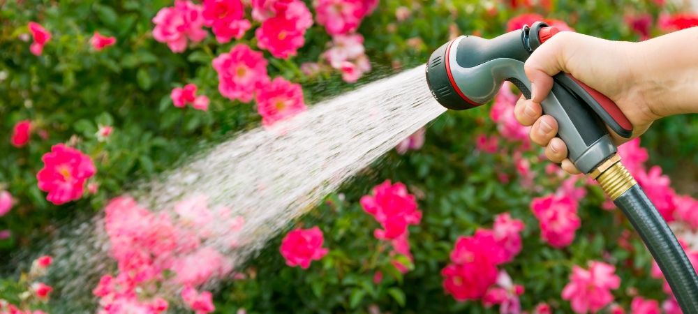 bewatering: gardena 