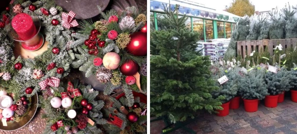 Kerstbomen - Nieuw Hanenburg te Den Haag