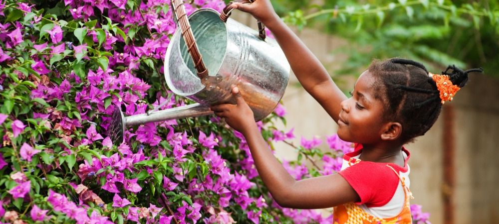 Tuinslangen en bewatering artikelen