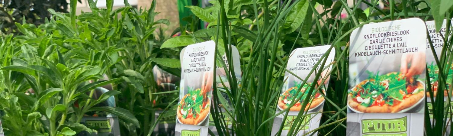 De lekkerste geuren en smaken komen uit eigen tuin