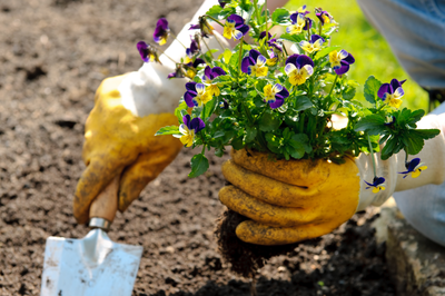 15 tuintips voor april