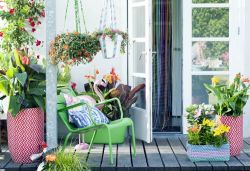6 zomertips voor een fleurig terras en balkon