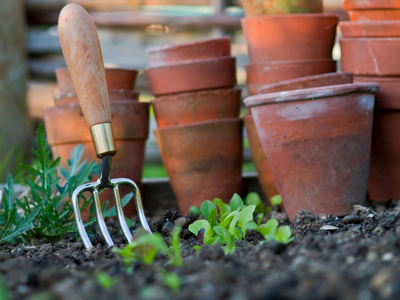 Bereid de moestuin voor op het voorjaar!