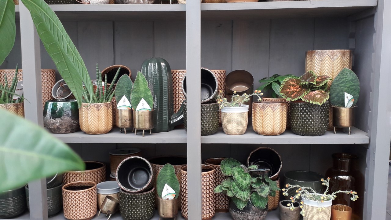 Ga wandelen Aannemelijk wedstrijd Plantenbakken in diverse soorten en maten! - Tuincentrum Nieuw Hanenburg te  Den Haag