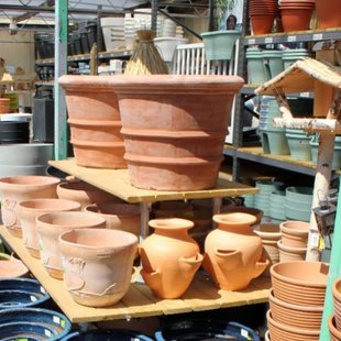 Terracotta