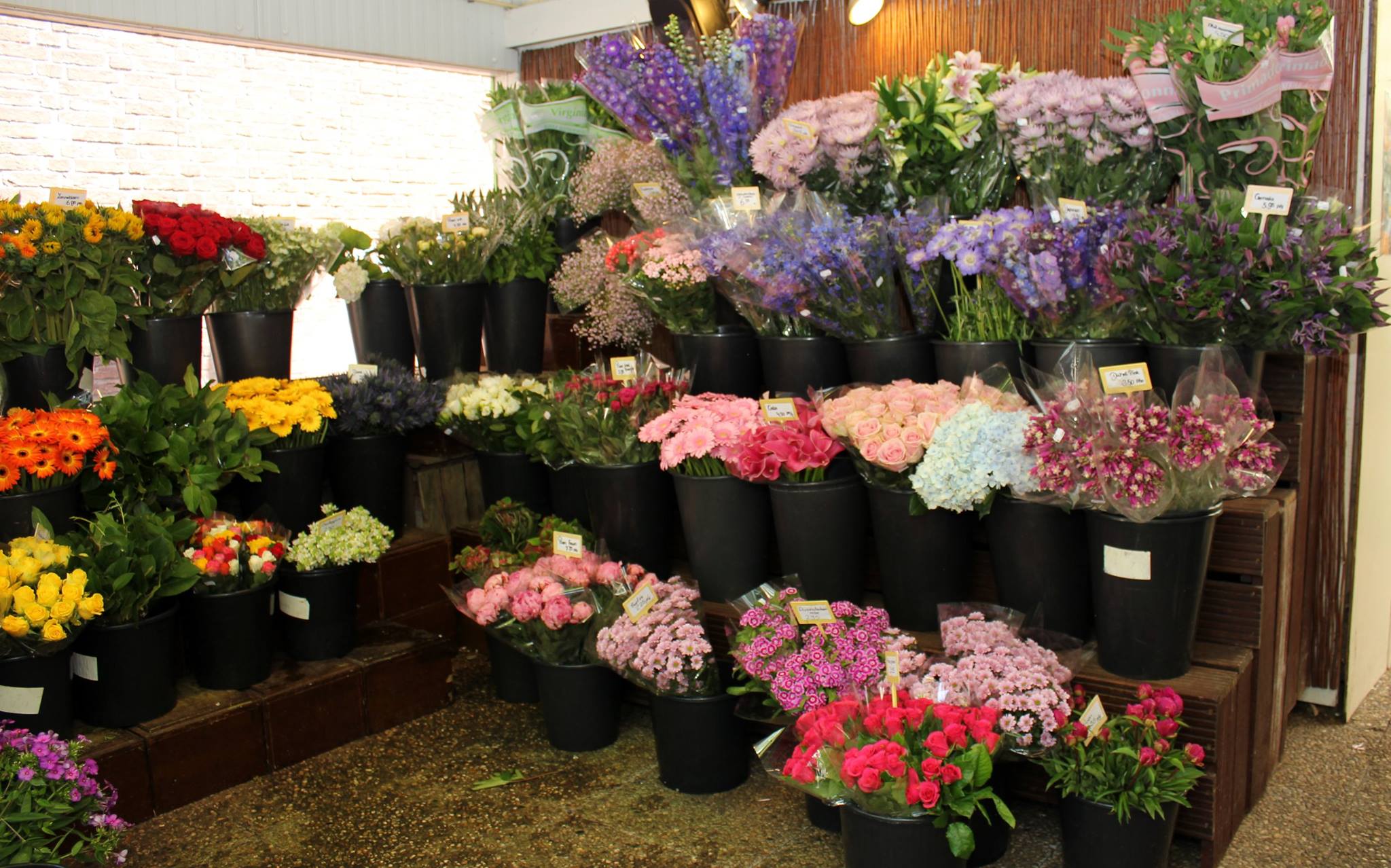Tuinwinkel met bloemenafdeling in Den Haag